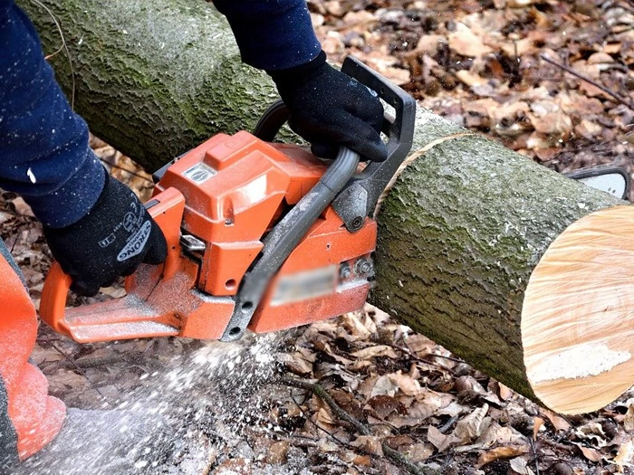Tim tebang pohon siap bekerja